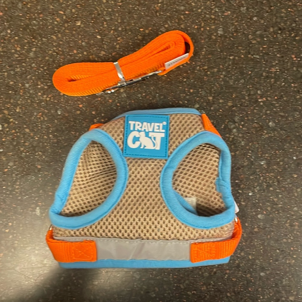 Cat harness